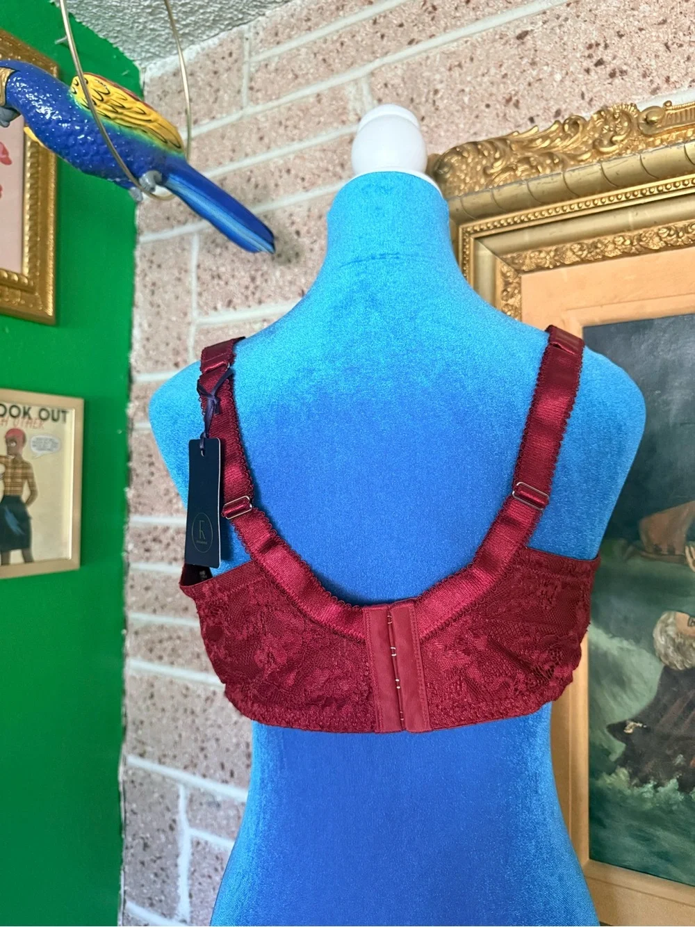 City Chic Lace Underwire Bra in Burgundy